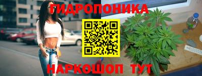 ешки Партизанск