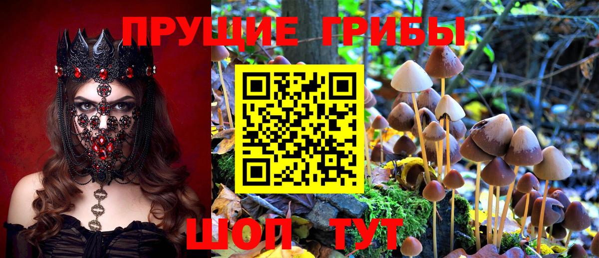 дарнет шоп  Галлюциногенные грибы MAGIC MUSHROOMS  Вход с VPN  Светлоград 
