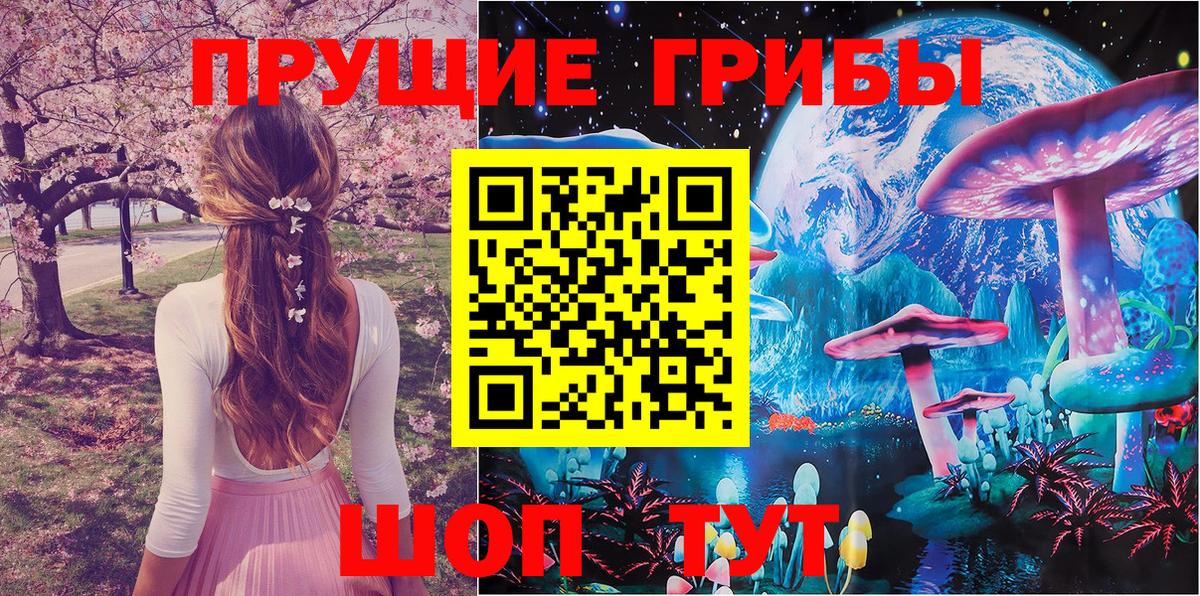 Псилоцибиновые грибы мухоморы Светлоград